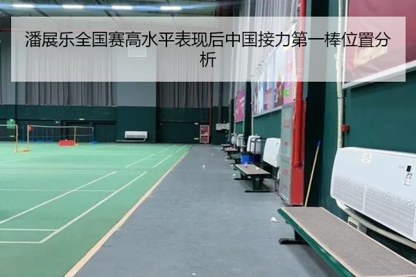 潘展乐全国赛高水平表现后中国接力第一棒位置分析 - leyu